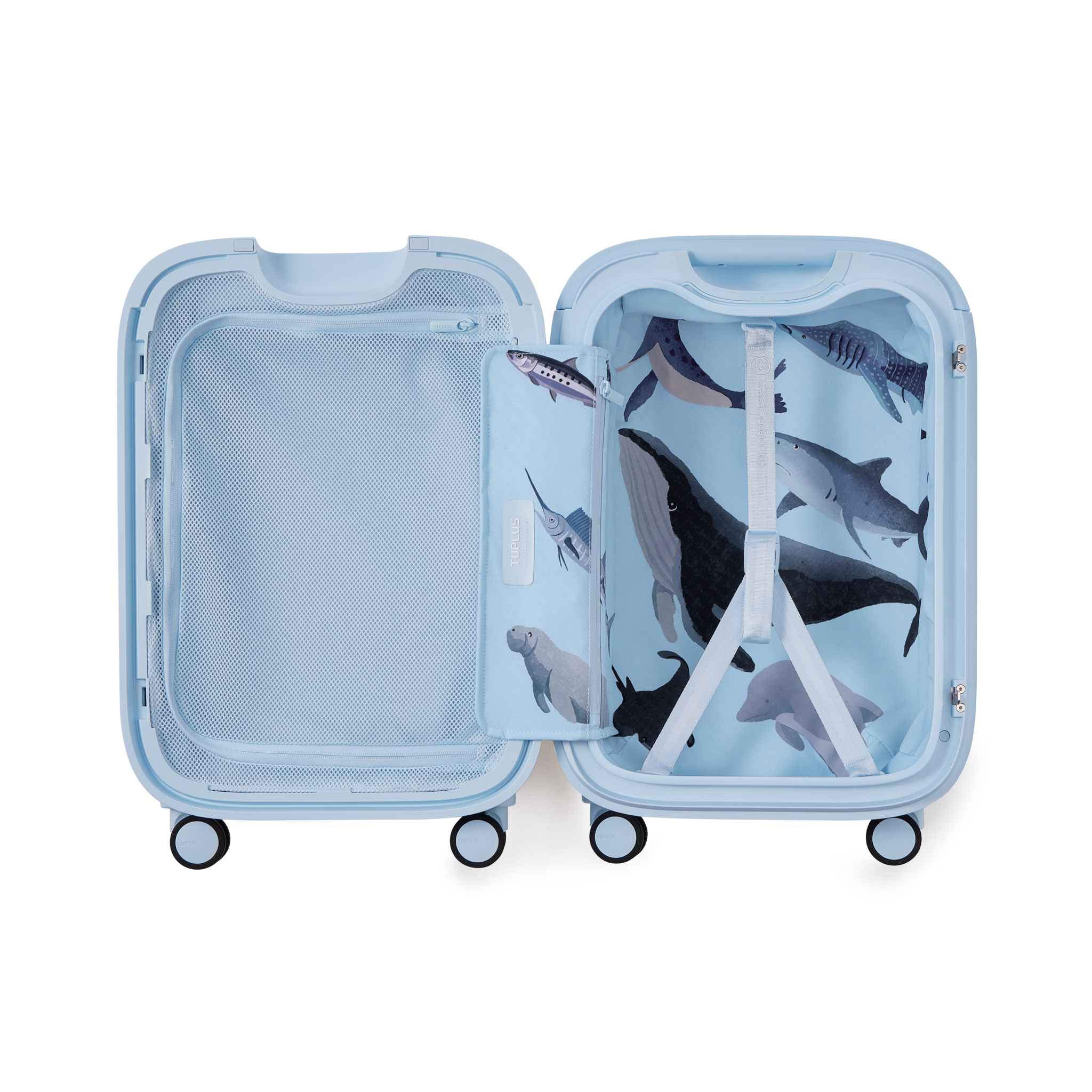 TUPLUS Time Capsule Standard Carry-On Suitcase, Blue Ocean - TUPLUS Offical Store